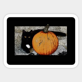 Little Pumpkin - Halloween Kitty Sticker